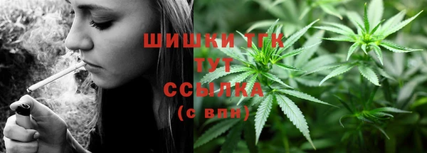 PSILOCYBIN Лихославль