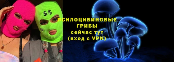 PSILOCYBIN Лихославль