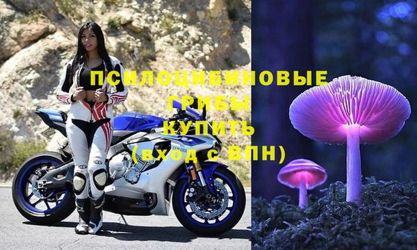 гидра Липки