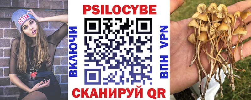 Галлюциногенные грибы MAGIC MUSHROOMS  Петропавловск-Камчатский 