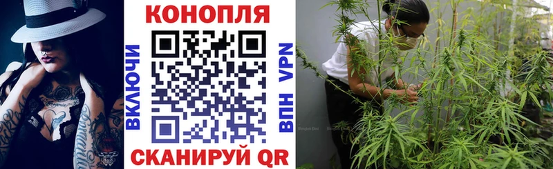 наркота  Петропавловск-Камчатский  блэк спрут ССЫЛКА  Марихуана LSD WEED 